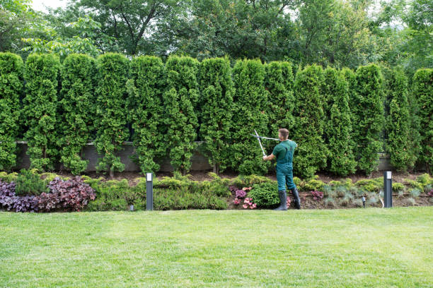 Best Lawn Watering Services  in Bath, PA